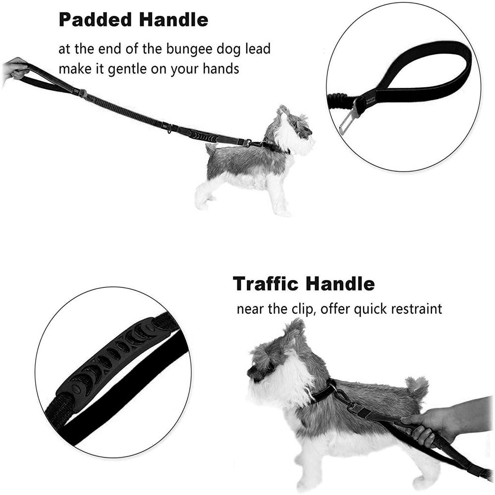 Multifunctional Leashes For Dogs
