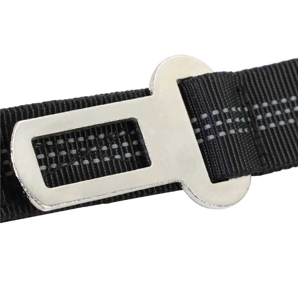 Multifunctional Leashes For Dogs