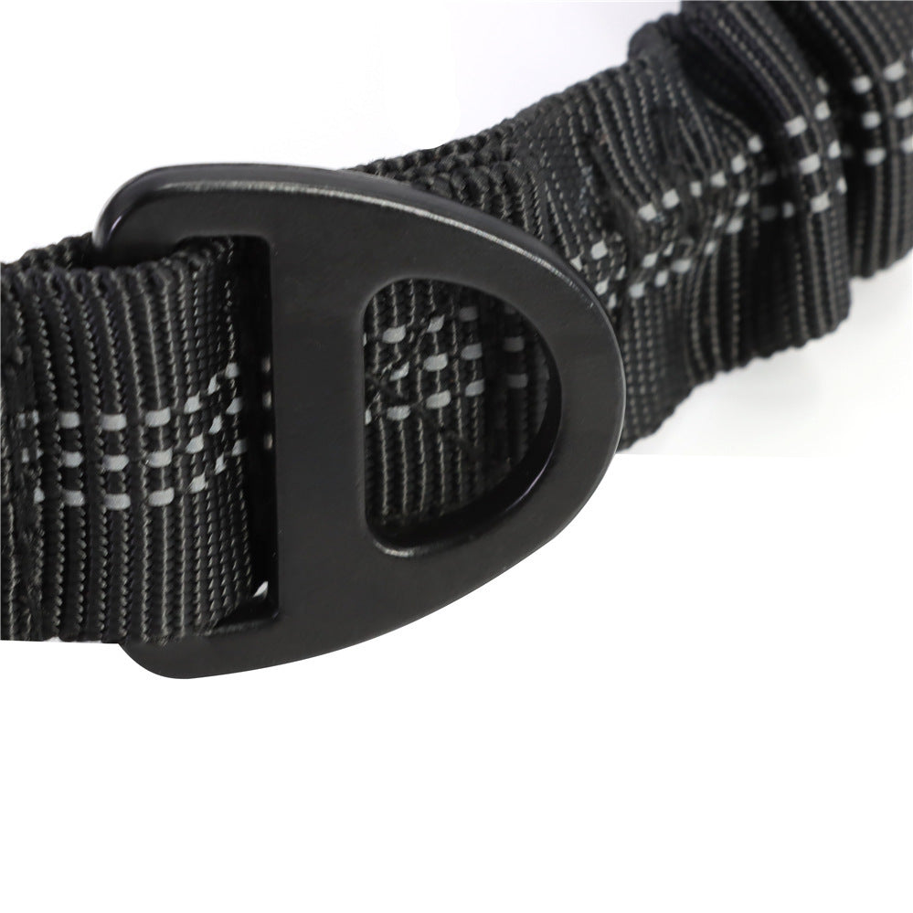 Multifunctional Leashes For Dogs