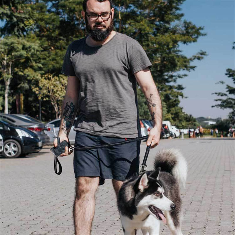Multifunctional Leashes For Dogs
