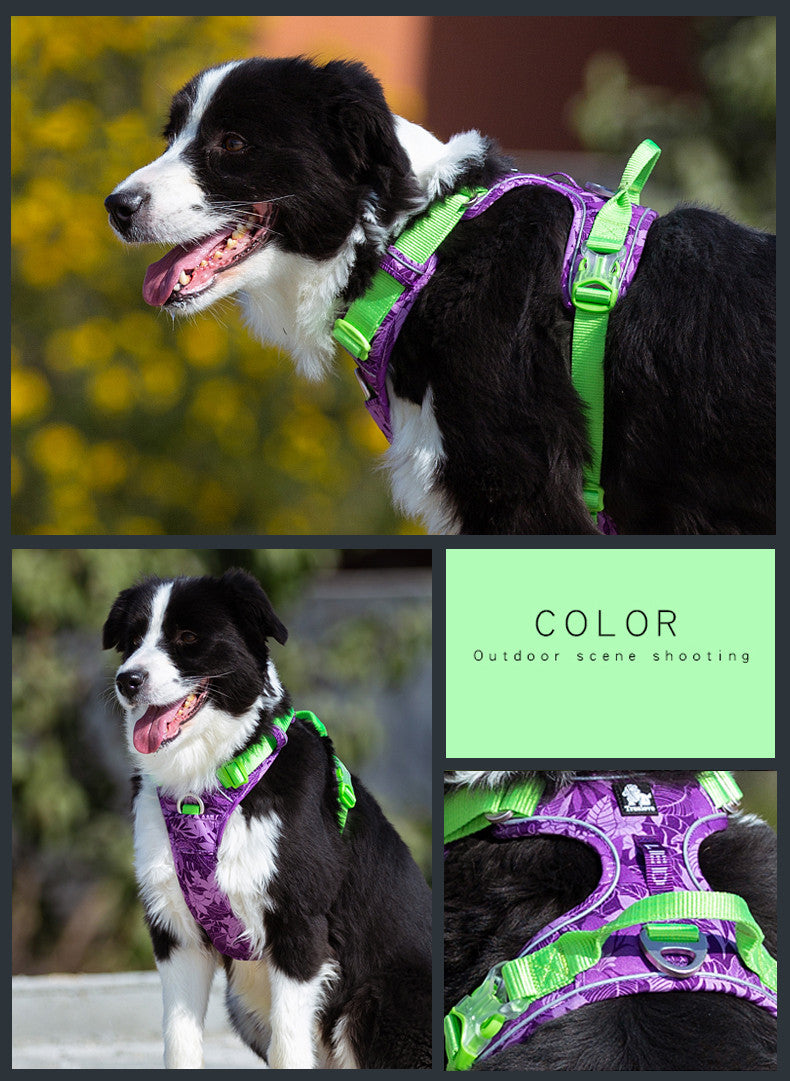 Dog Vest Straps Leashes