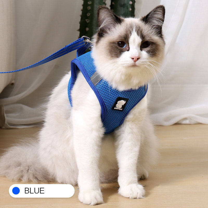 Anti-Strike Cat Traction and Harness