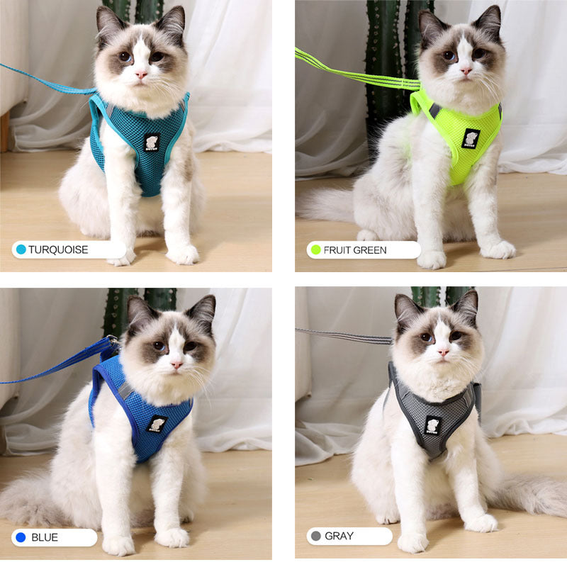 Anti-Strike Cat Traction and Harness