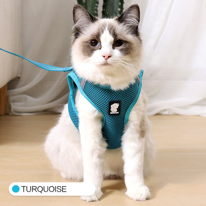 Anti-Strike Cat Traction and Harness