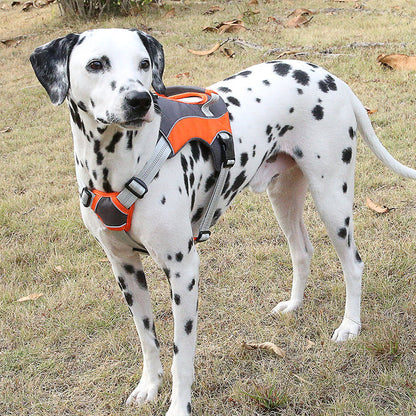 Pet Vest Leashes