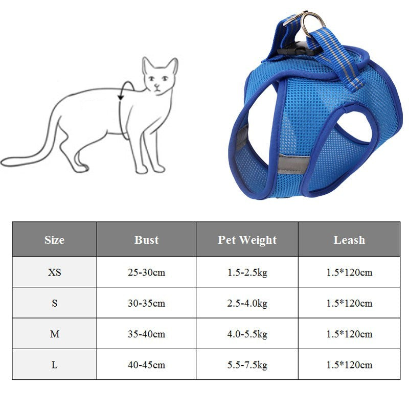 Anti-Strike Cat Traction and Harness