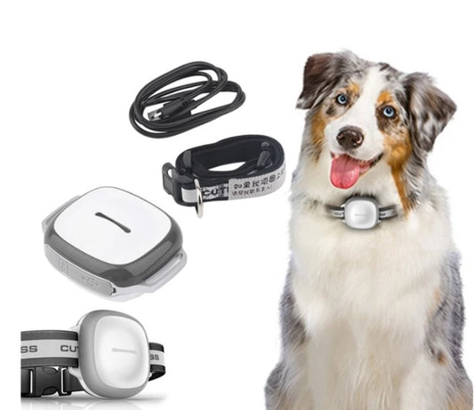 Pet Locator Device