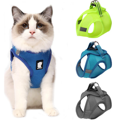 Anti-Strike Cat Traction and Harness