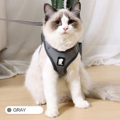 Anti-Strike Cat Traction and Harness