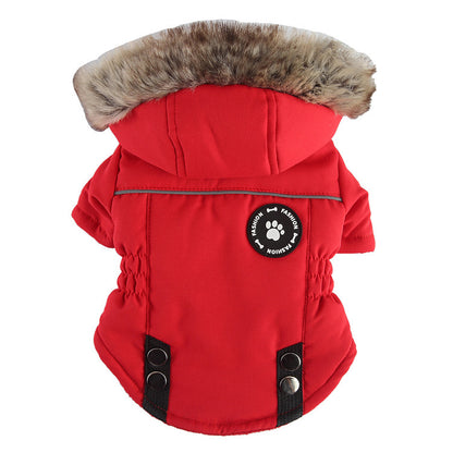 Winter Cotton  Zipper Jacket For Dogs