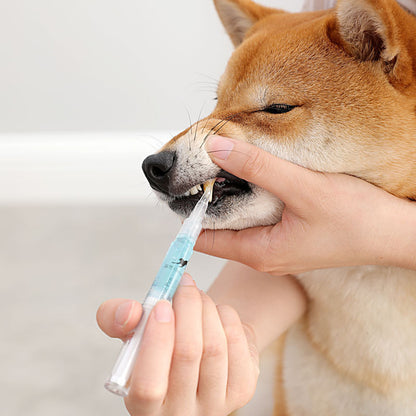 Pet Tooth Cleaning Pen Kit