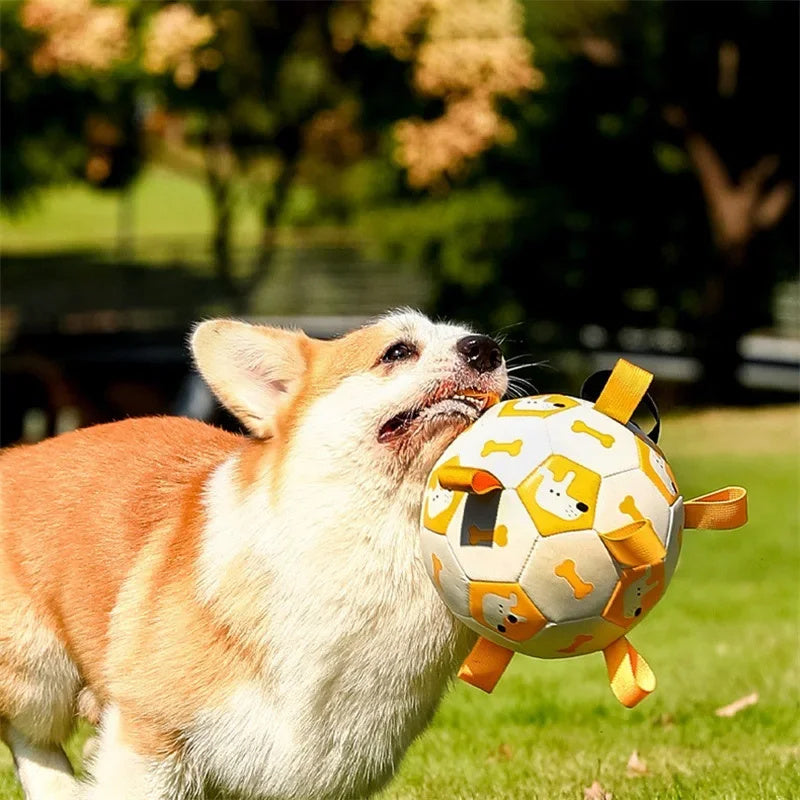 Outdoor Training Ball For Pets