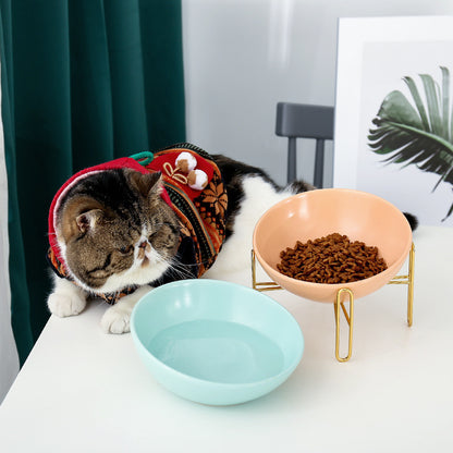 Ceramic Bowl For Pet Food