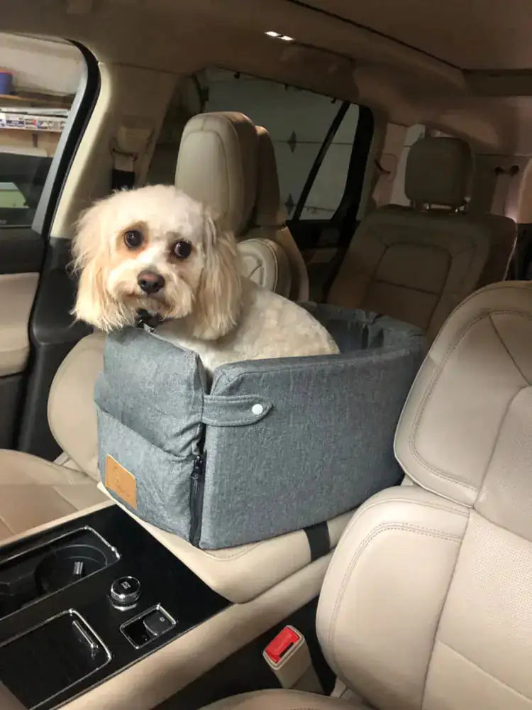 Pet Safety Seat