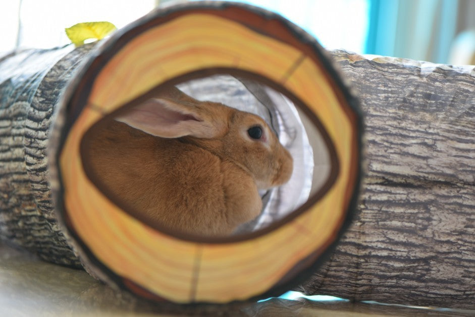 Tree Pattern Tunnel Toy  For Pets