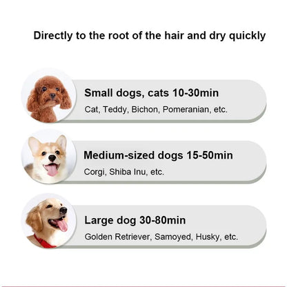 Precise Title: 2-in-1 Portable Pet Grooming Dryer and Comb