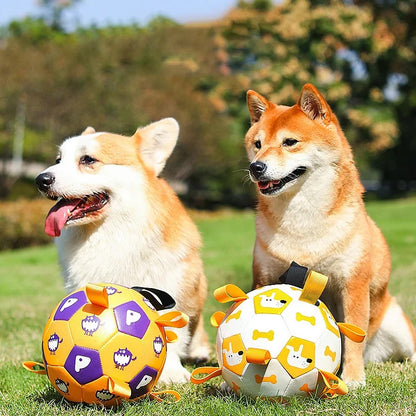 Outdoor Training Ball For Pets