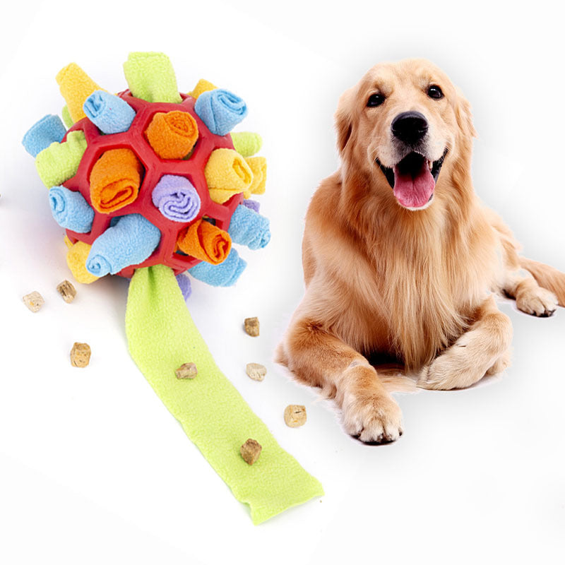 Sniff & Snack Puzzle Ball Toys