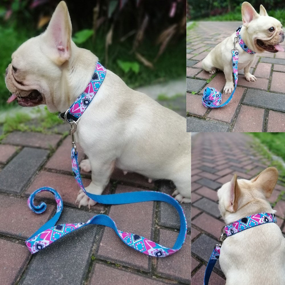 Multicolored Pet Collar for Cats and Dogs
