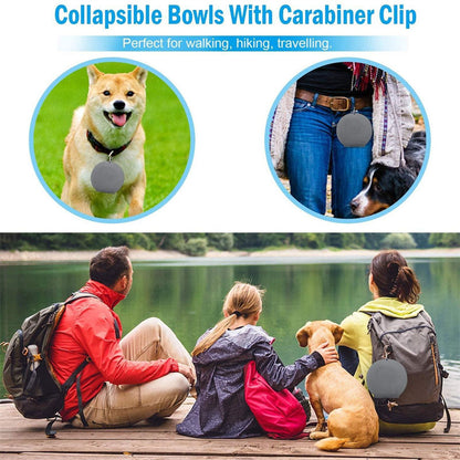 Foldable Double Pet Feeding Silicone Bowl