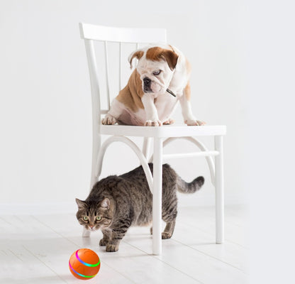 Self Rotating Ball For Cats