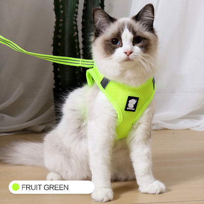 Anti-Strike Cat Traction and Harness