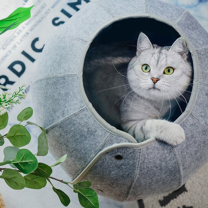 Foldable  Cat Tunnel Toy