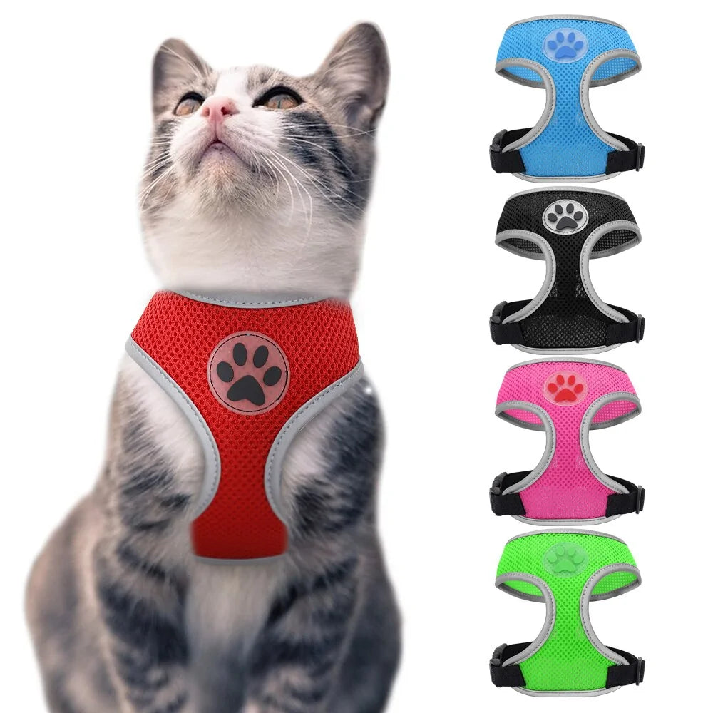 Comfortable Breathable Harness For Your Pet