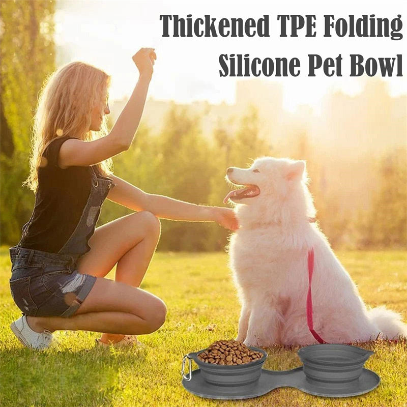 Foldable Double Pet Feeding Silicone Bowl