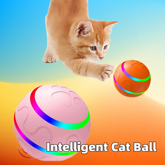 Self Rotating Ball For Cats