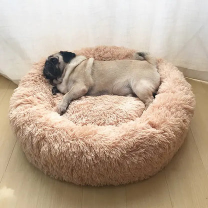 Super Soft Pet Bed